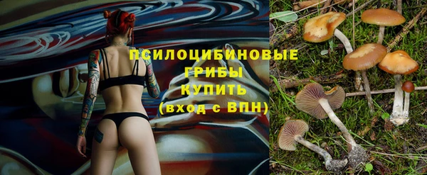 дурь Алексеевка