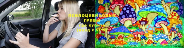 дурь Алексеевка