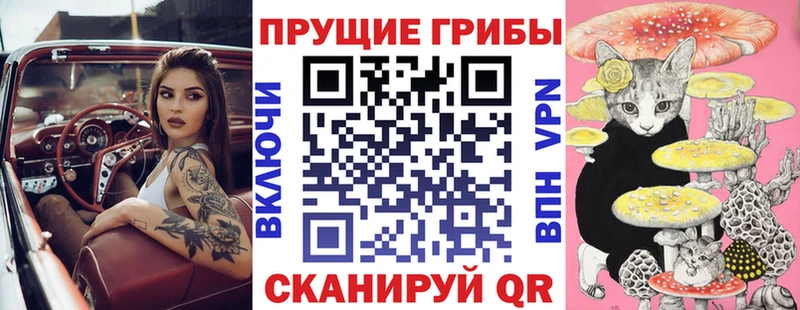KRAKEN ссылка  Воткинск  Галлюциногенные грибы мицелий 